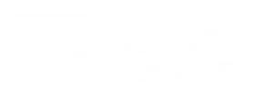 DB Pro Services